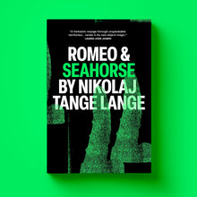 Load image into Gallery viewer, CONVERSATION: Nikolaj Tange Lange and Peter Scalpello discuss Romeo and Seahorse (Cipher press))