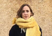 Load image into Gallery viewer, Conversation: Shady Lewis (author) , Katharine Halls (translator) and Keiran Goddard (Host)