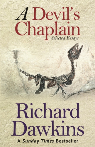 A Devil's Chaplain : Selected Writings-9780753817506