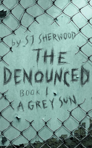 The Denounced : Book 1 A Grey Sun : 1-9781999792916