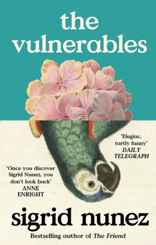 The Vulnerables : 'As funny as it is painfully honest' (Paula Hawkins)-9780349018126