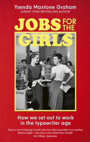 Jobs for the Girls : How We Set Out to Work in the Typewriter Age-9780349144412