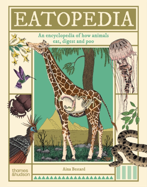 Eatopedia : An encyclopedia of how animals eat, digest and poo-9780500653869