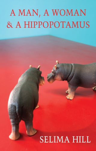 A Man, a Woman & a Hippopotamus-9781780377520