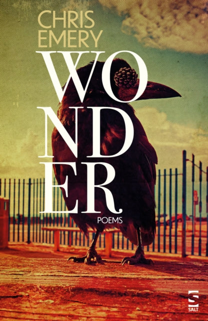Wonder-9781784633707
