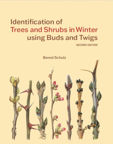 Identification of Trees and Shrubs in Winter using Buds and Twigs-9781842468340