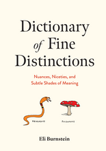 Load image into Gallery viewer, Launch: Dictionary of Fine Distinctions by Eli Burnstein
