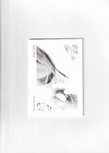Load image into Gallery viewer, Recent Poems by Hugh Foley
