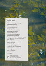 Load image into Gallery viewer, Soft Ruin &amp; A Cast of Flowers &amp; The God File: Yentling
