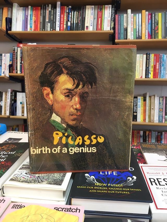 Picasso: birth of a genius