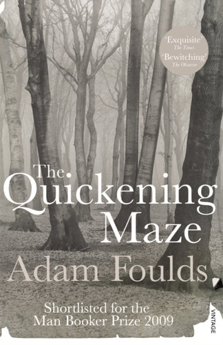 The Quickening Maze-9780099532446
