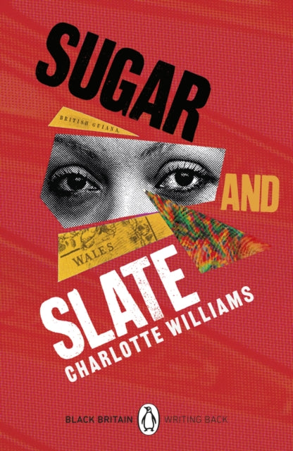 Sugar and Slate-9780241999530