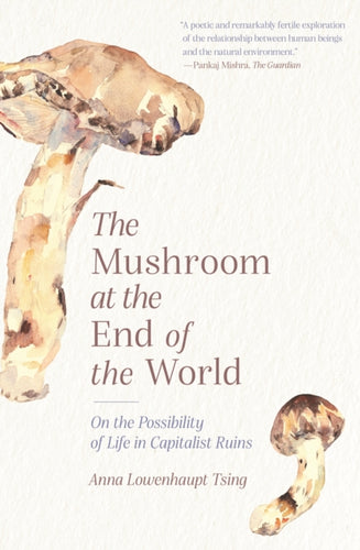 The Mushroom at the End of the World : On the Possibility of Life in Capitalist Ruins-9780691220550