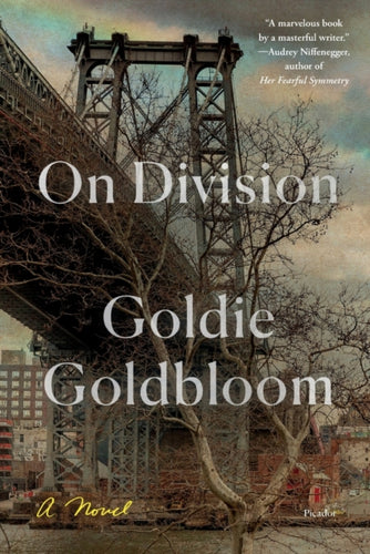 On Division : A Novel-9781250757968