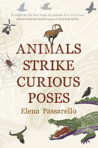 Animals Strike Curious Poses-9781787330306