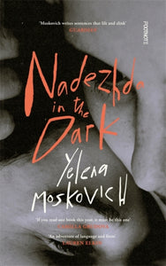 Nadezhda in the Dark-9781804440483