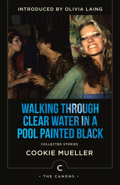 Walking Through Clear Water In a Pool Painted Black : Collected Stories-9781838858483