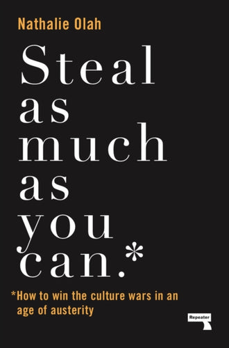 Steal as Much as You Can : How to Win the Culture Wars in an Age of Austerity-9781912248568