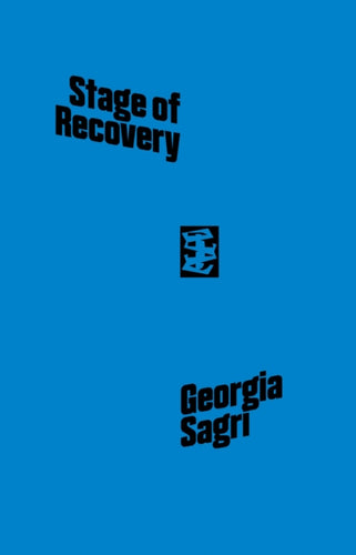 Iasi, Stage Of Recovery-9781916425071