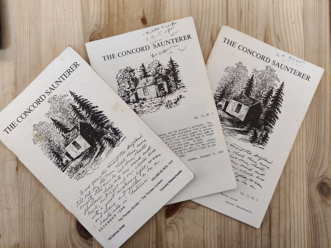 The Concord Saunterer (Henry David Thoreau) - Pack of 3